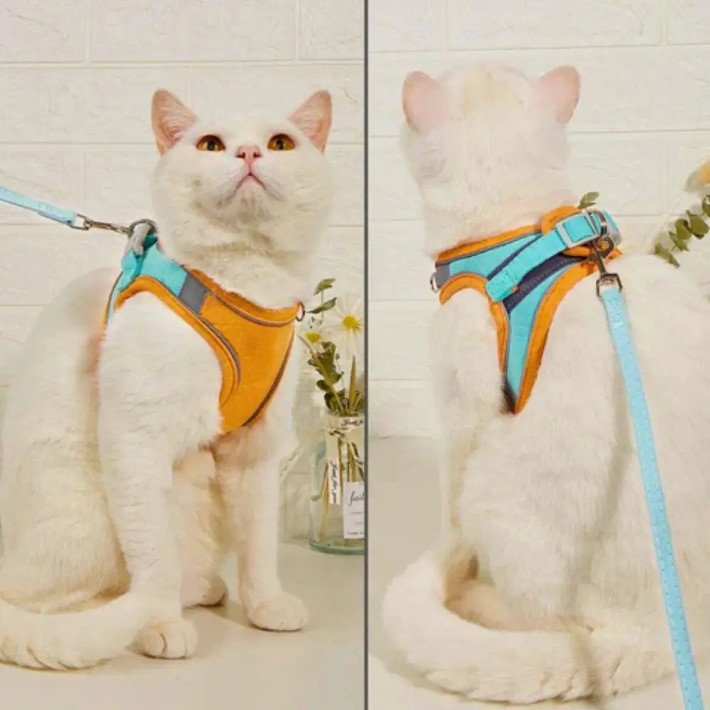 Harnais de Promenade pour Chat