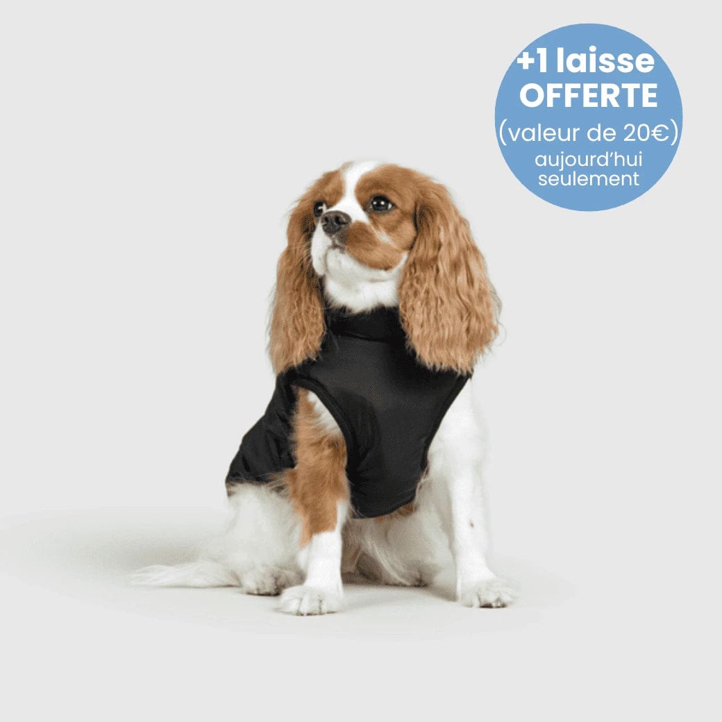Manteau pour Chien Imperméable