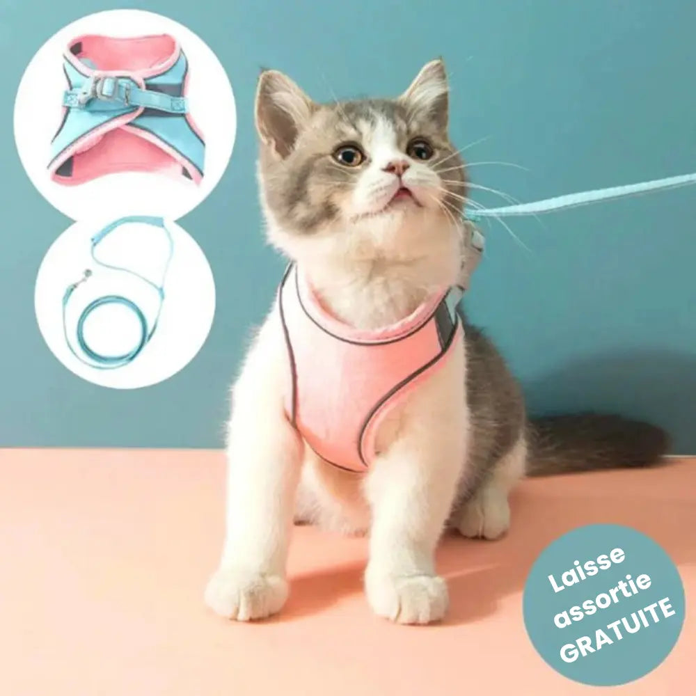 Harnais de Promenade pour Chat