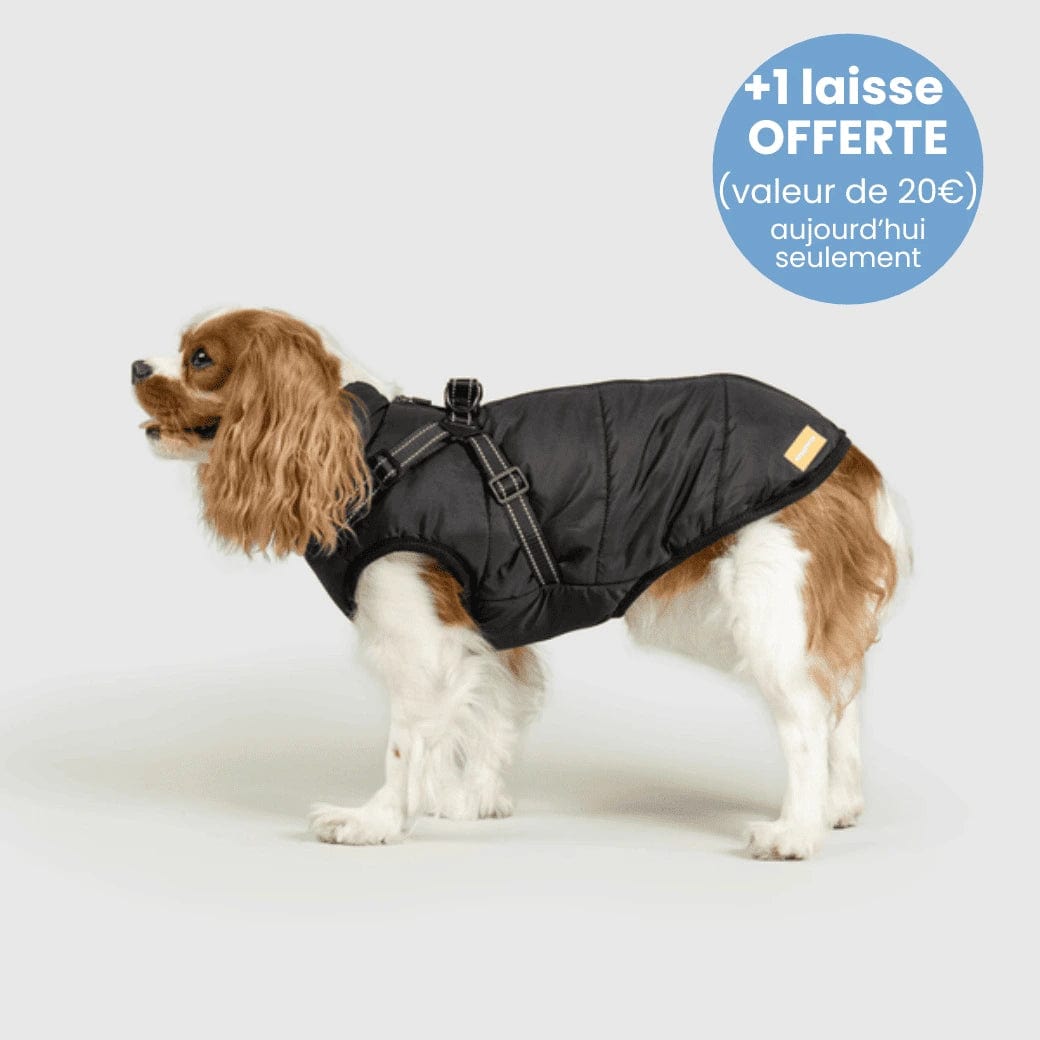 Manteau pour Chien Imperméable