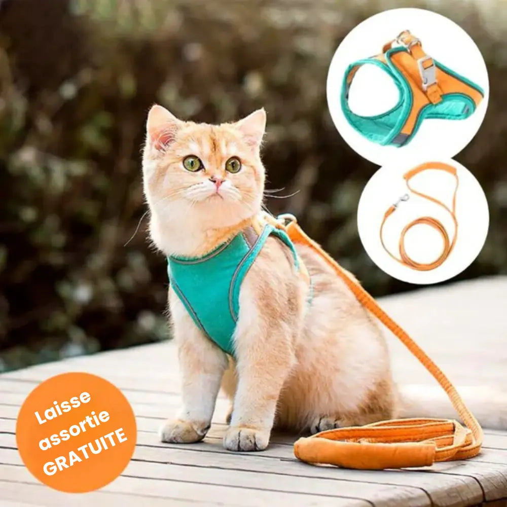 Harnais de Promenade pour Chat