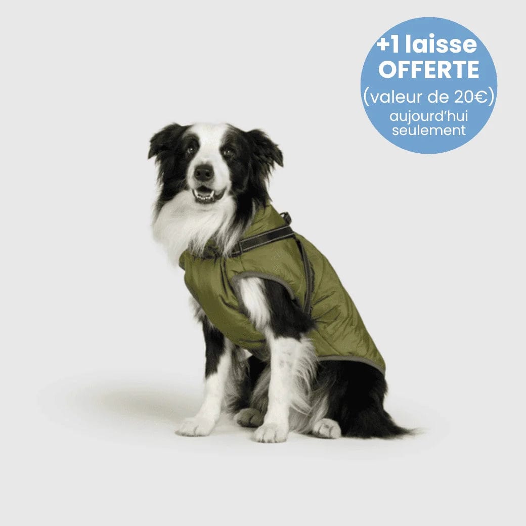 Manteau pour Chien Imperméable