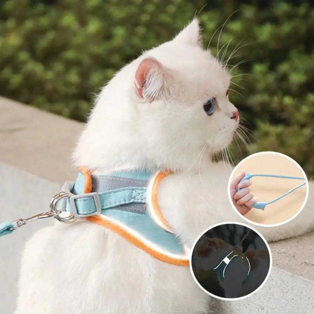 Harnais de Promenade pour Chat