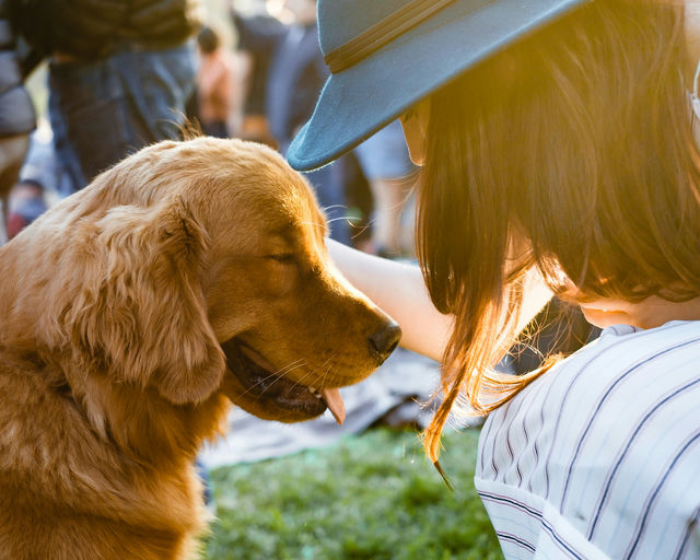 Maître et chien pratiquant le dressage positif, renforçant leur lien d'amitié et de confiance.