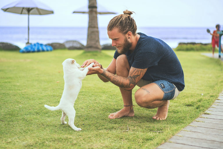 Chien heureux se faisant brosser le pelage tandis qu'un professionnel lui coupe les ongles pour illustrer les soins et l'hygiène canine essentiels