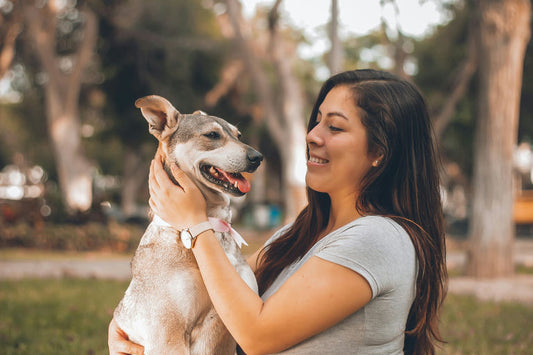 chien en bonne santé mangeant une alimentation équilibrée et variée avec des ingrédients de qualité