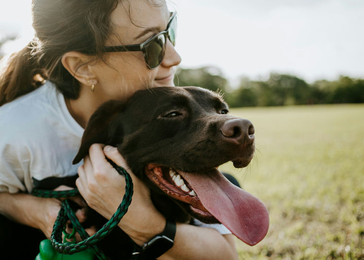 Articles essentiels pour le bien-être du chien avec alimentation équilibrée, couchage, jouets, accessoires de promenade et produits de toilettage.