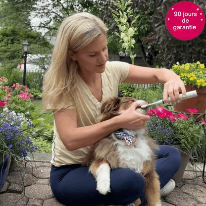 Kit de Détartrage pour Chiens