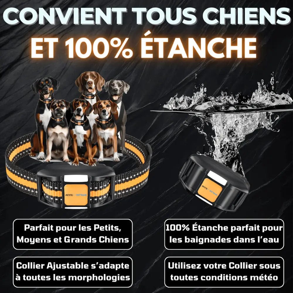 Collier de Dressage pour Chien