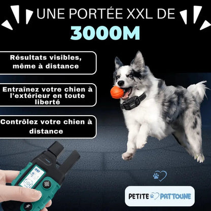 Collier d’Entraînement pour Chiens