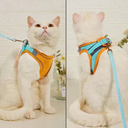 Harnais de Promenade pour Chat