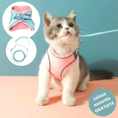 Harnais de Promenade pour Chat