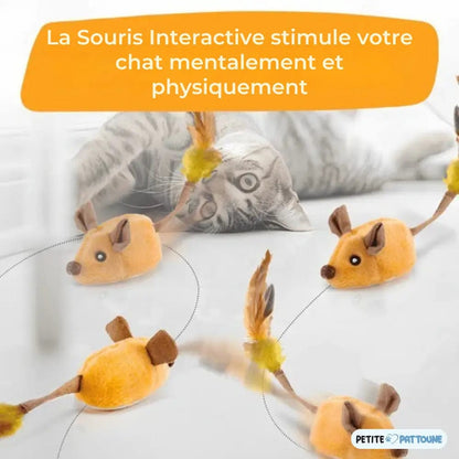 Souris Interactive Automatique pour Chats