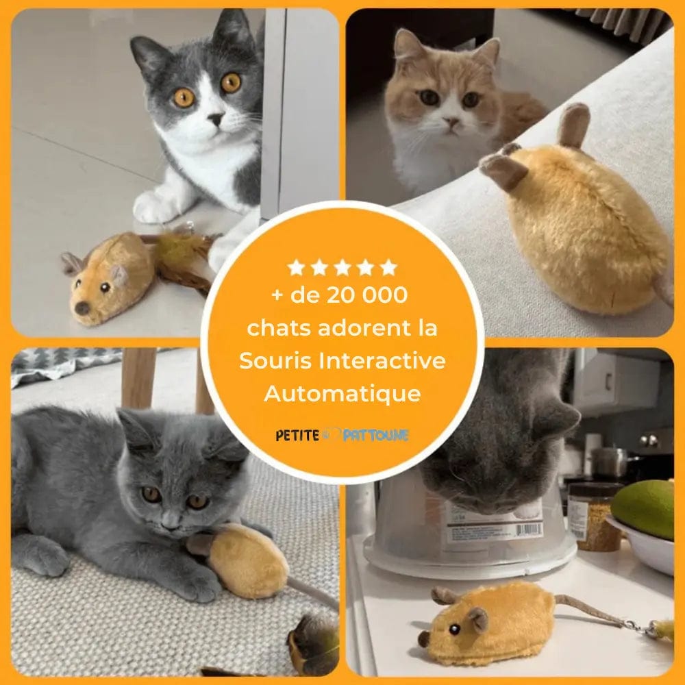 Souris Interactive Automatique pour Chats