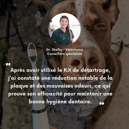 Kit de Détartrage pour Chiens