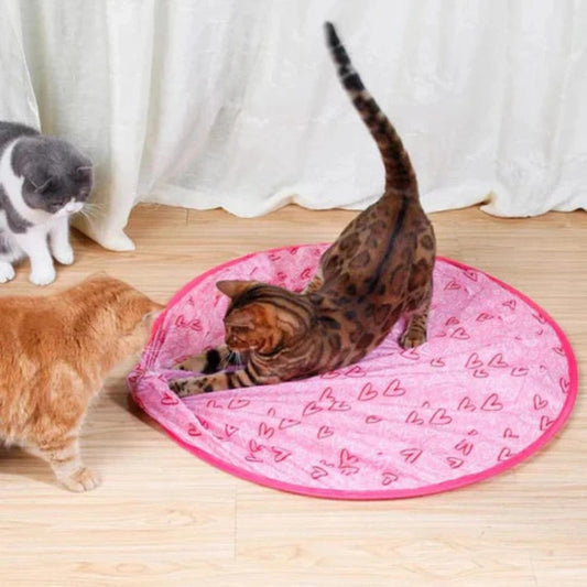 Tapis de Jeu pour Chat