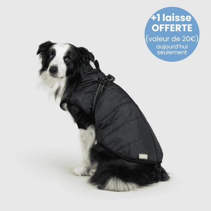 Manteau pour Chien Imperméable