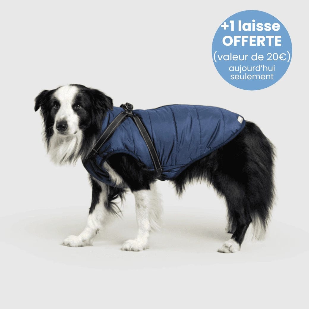 Manteau pour Chien Imperméable