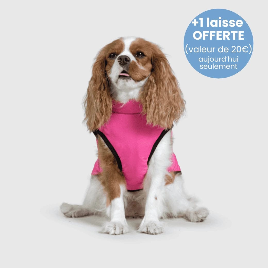 Manteau pour Chien Imperméable