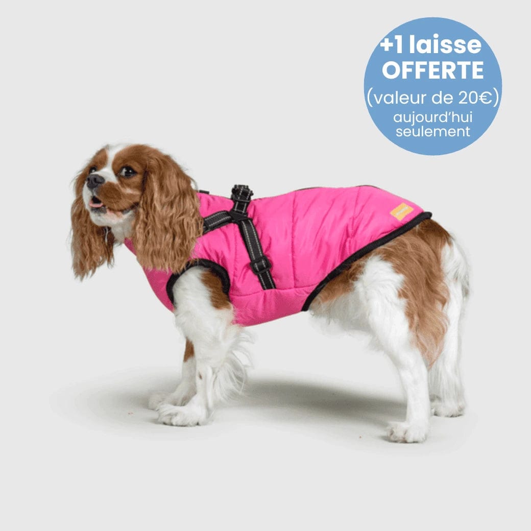 Manteau pour Chien Imperméable