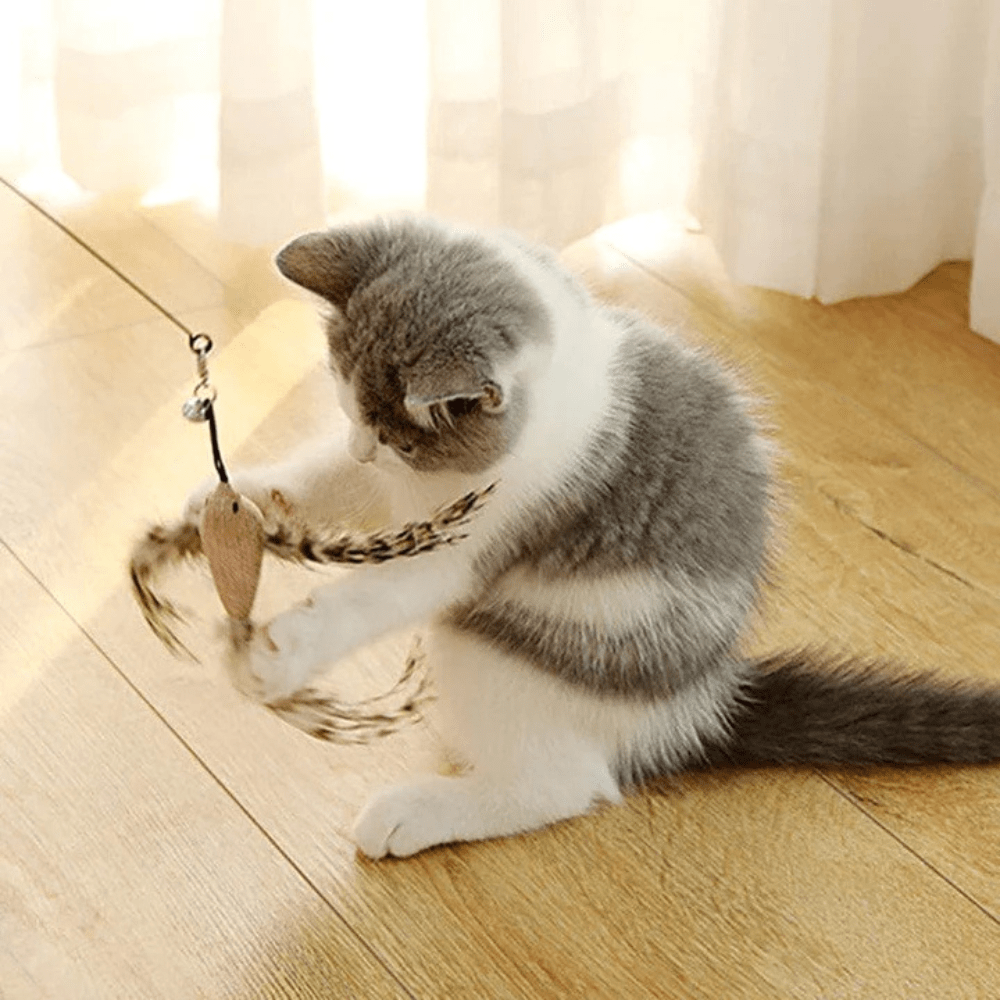 Ensemble Stimulateur de Chasse pour Chats