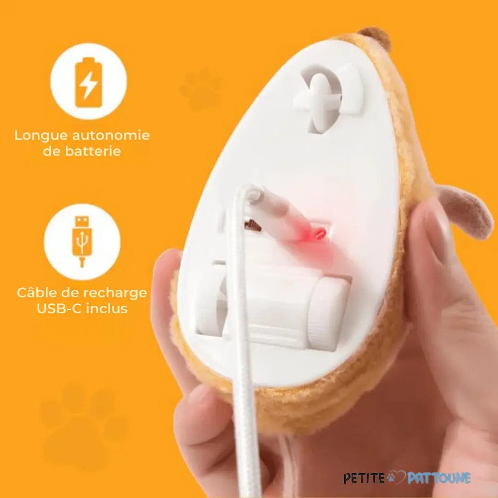 Souris Interactive Automatique pour Chats