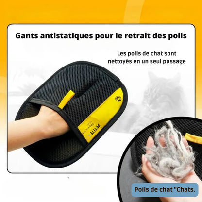 Gants de Toilettage pour Animaux