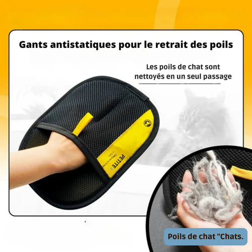 Gants de Toilettage pour Animaux