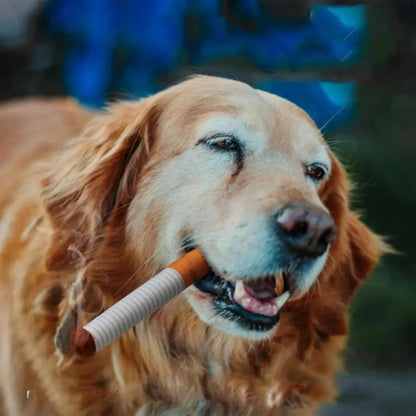 Jouet Interactif en Forme de Cigarettes pour Chiens