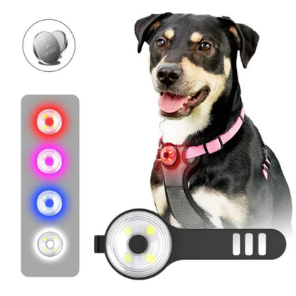 Lumière de Sécurité pour Chiens