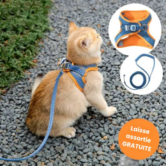 Harnais de Promenade pour Chat
