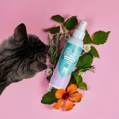 Spray Dentaire 100% Naturel pour Chats