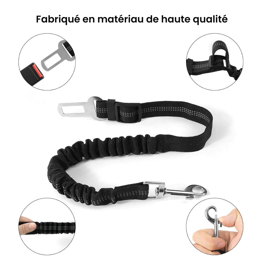 Ceinture Sécurité Chien