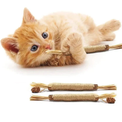 Bâtonnet à Mâcher pour Chat