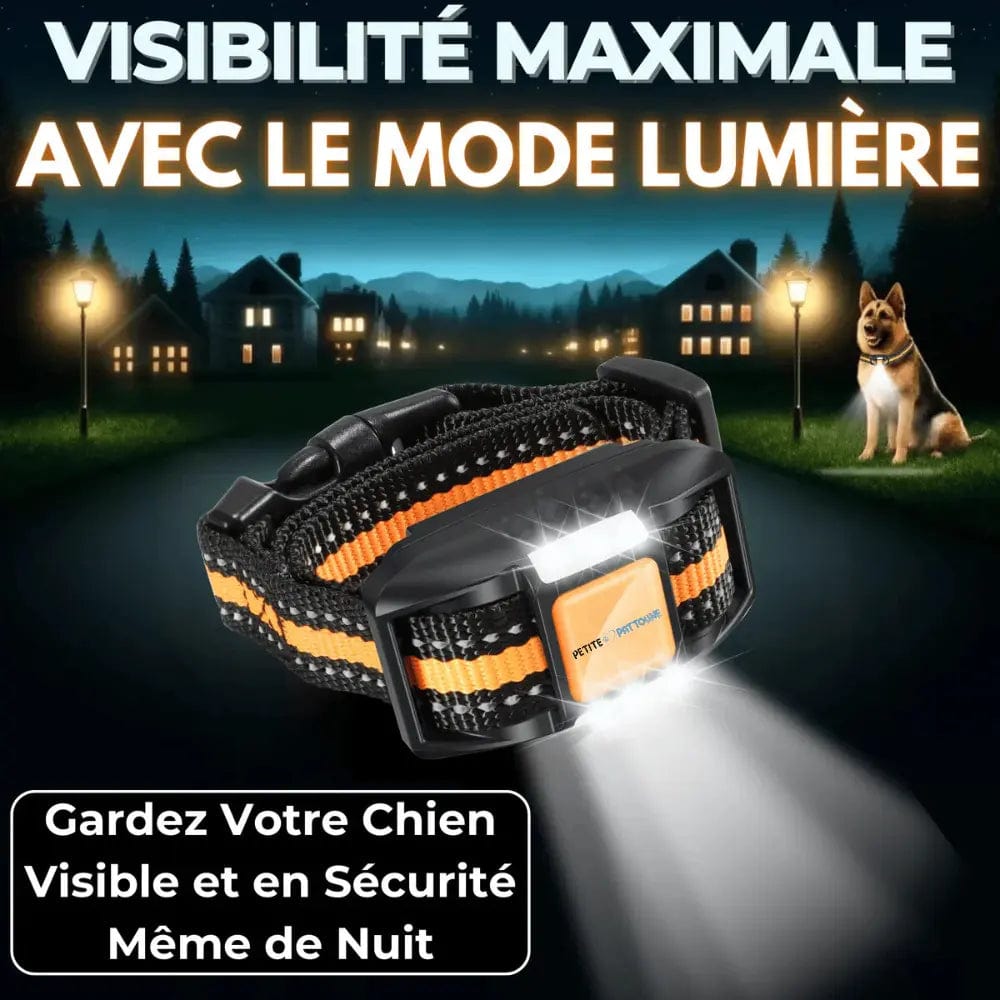 Collier de Dressage pour Chien