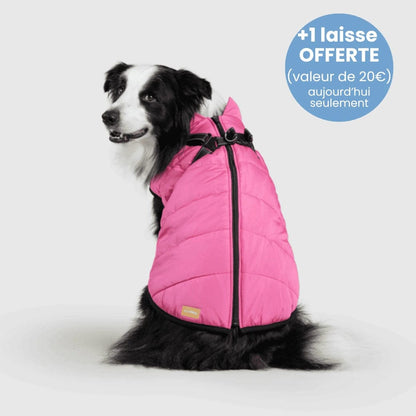 Manteau pour Chien Imperméable