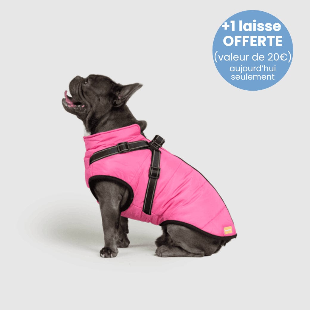 Manteau pour Chien Imperméable