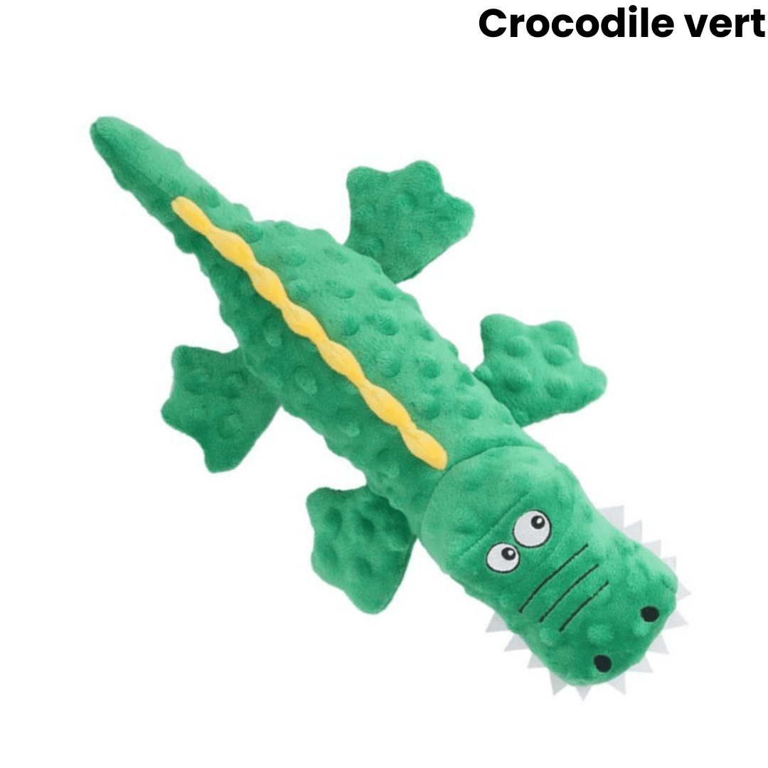 Peluche Indestructible pour Chien