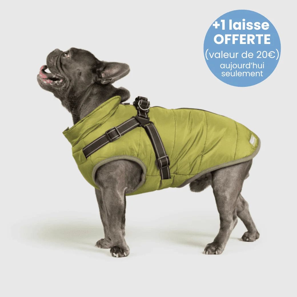 Manteau pour Chien Imperméable