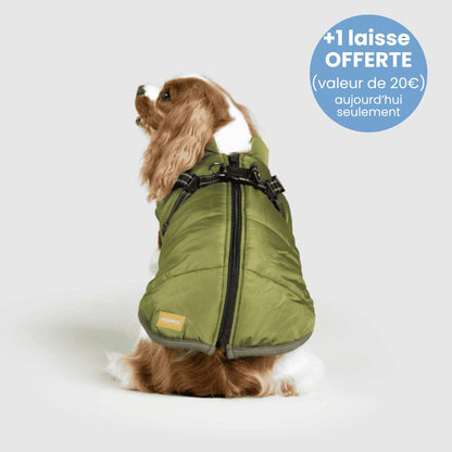 Manteau pour Chien Imperméable