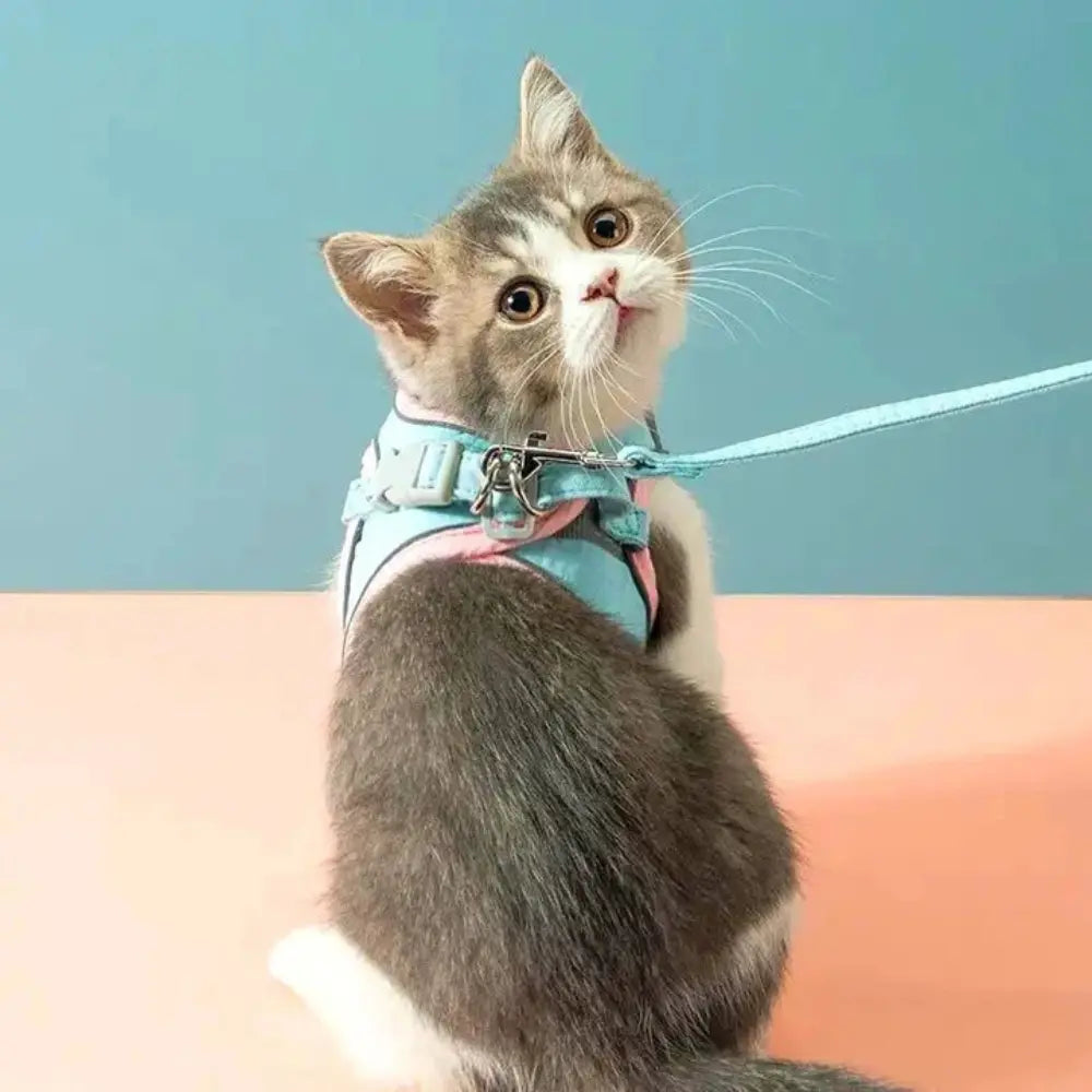 Harnais de Promenade pour Chat