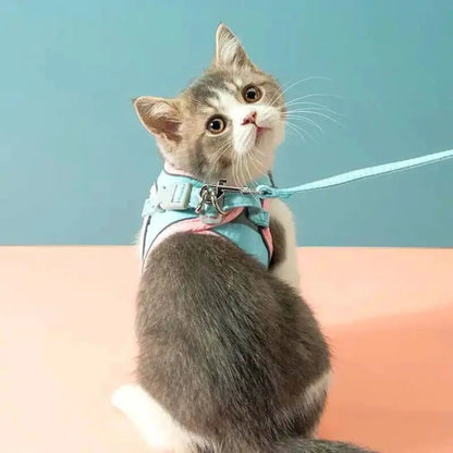 Harnais de Promenade pour Chat