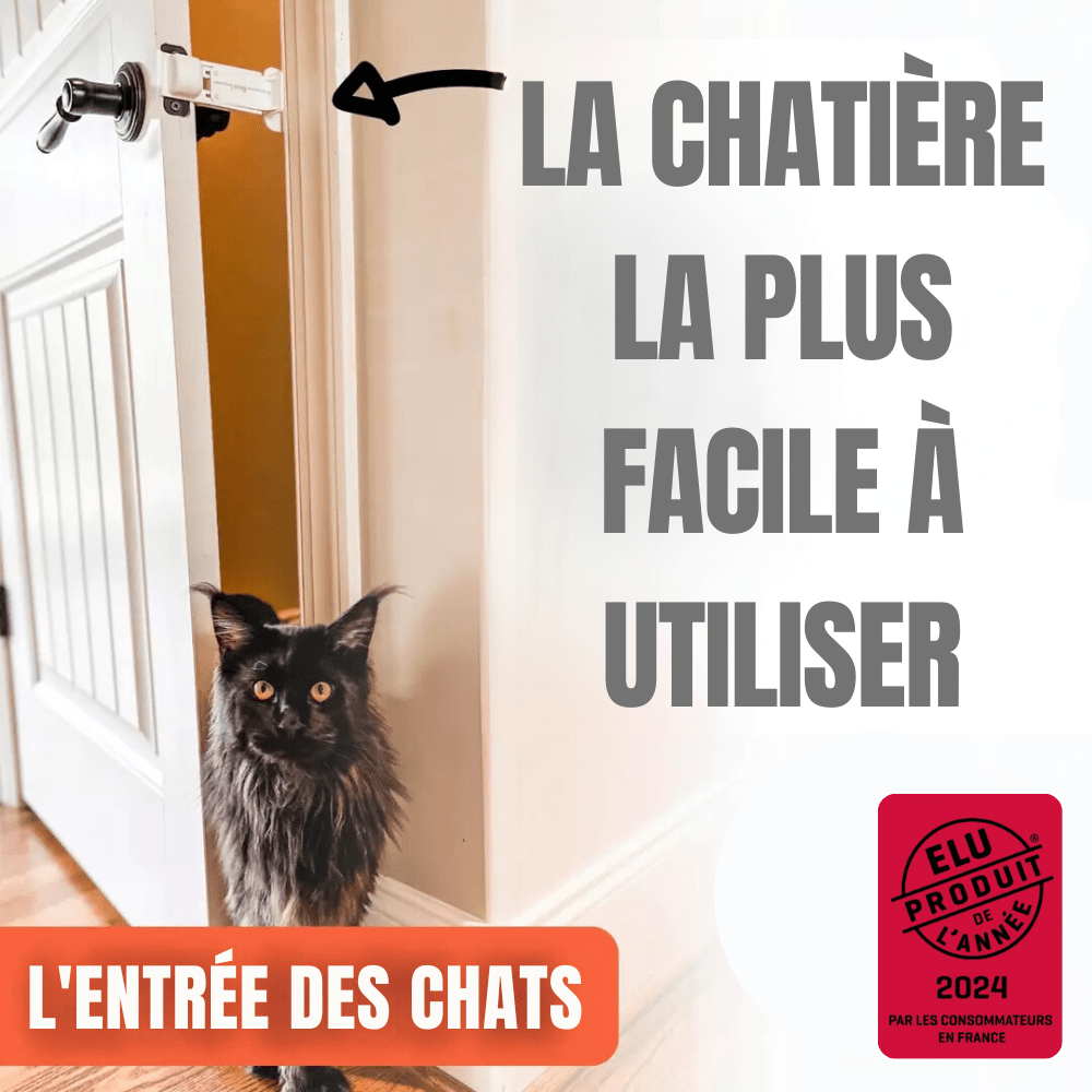 Butée de Porte Réglable pour Chat