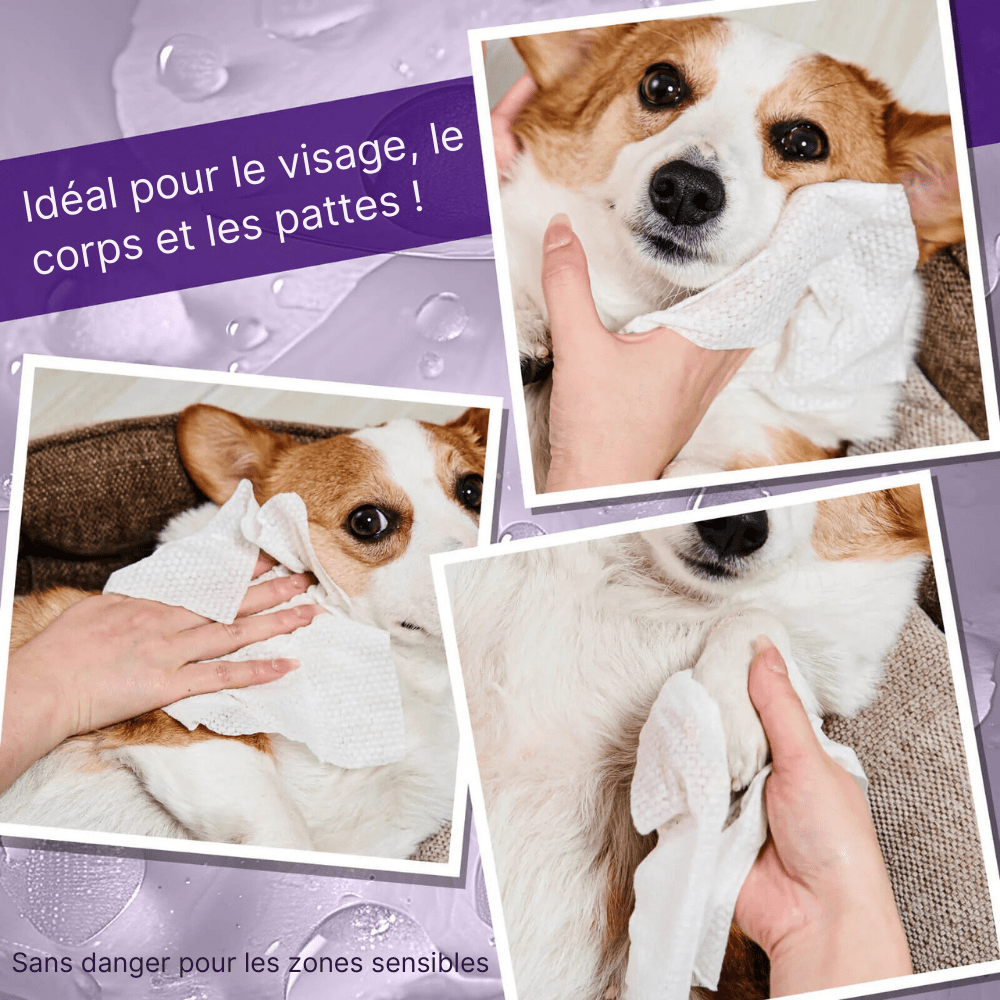 Lingettes aux Extraits de Plantes pour Chien