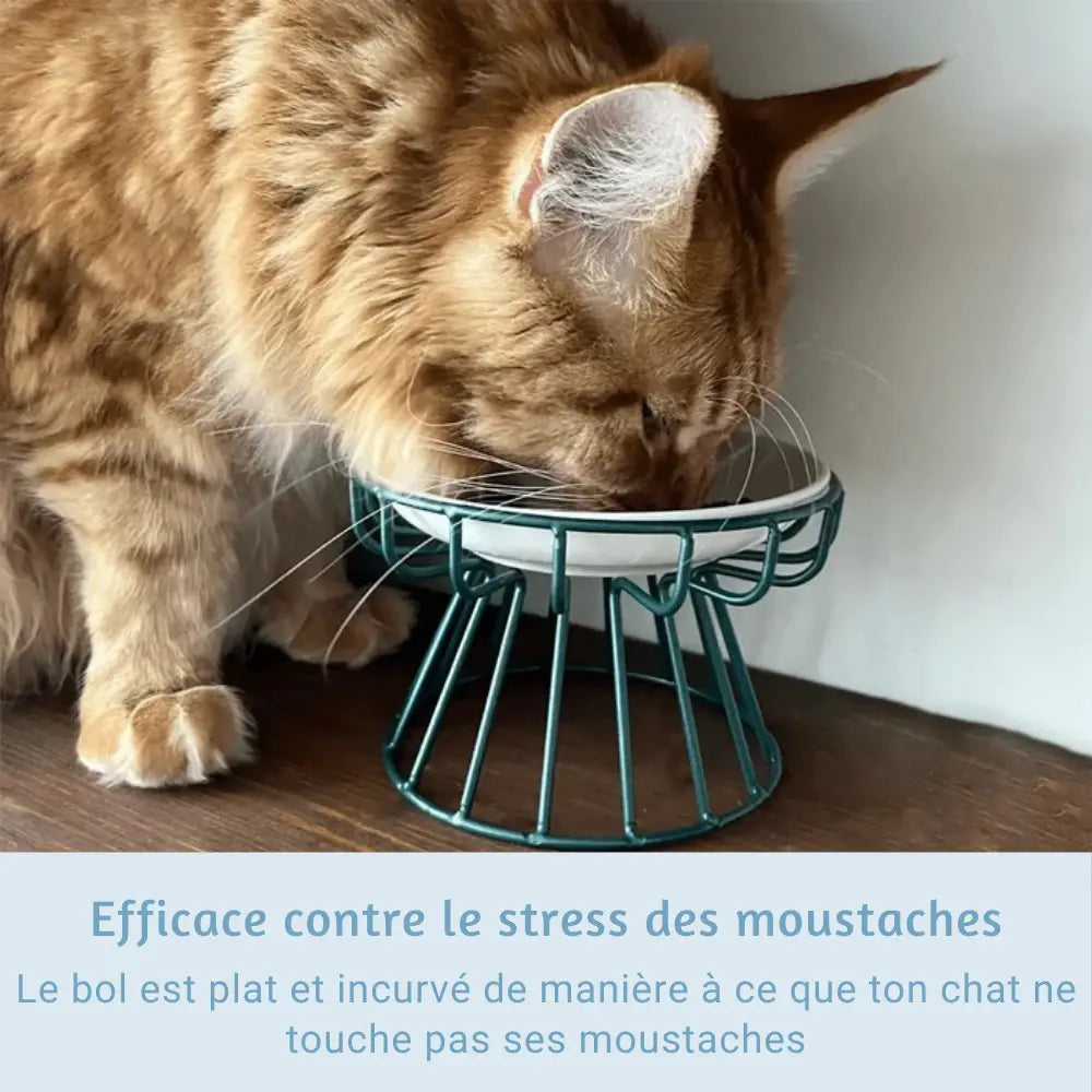 Gamelle Ergonomique pour Chat