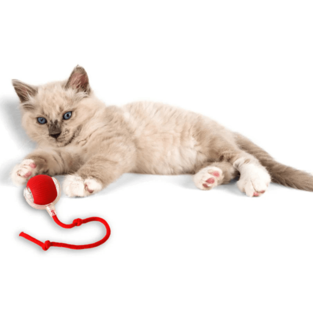 Boule Interactive pour Chats