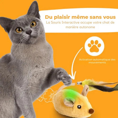 Souris Interactive Automatique pour Chats