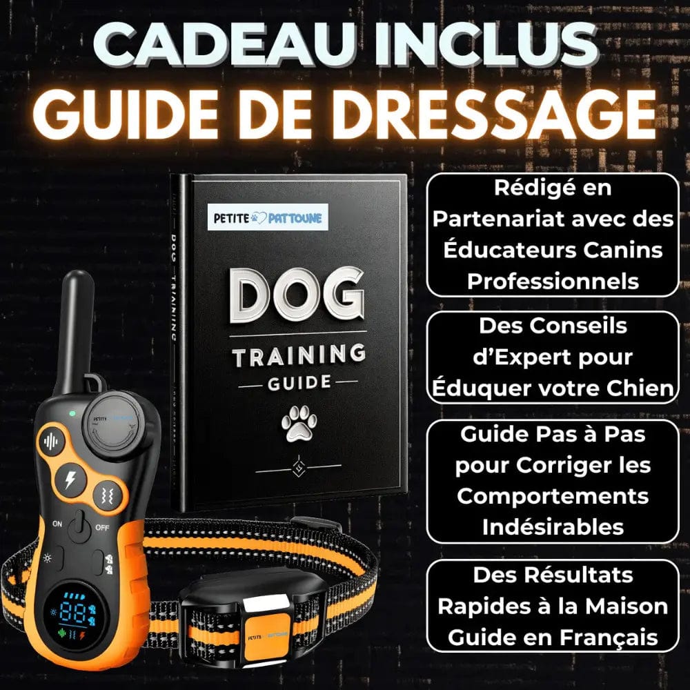 Collier de Dressage pour Chien