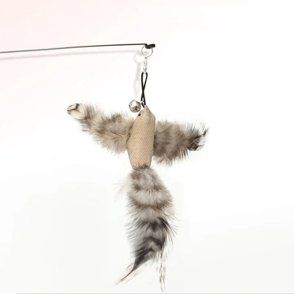 Ensemble Stimulateur de Chasse pour Chats