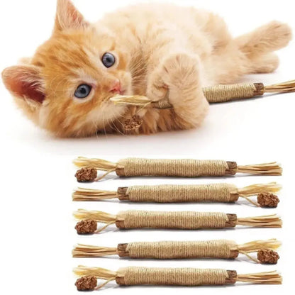 Bâtonnet à Mâcher pour Chat